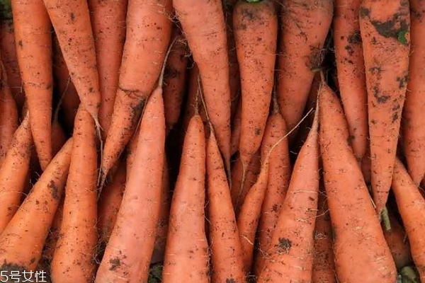 胡萝卜食疗作用(胡萝卜的食疗功效)