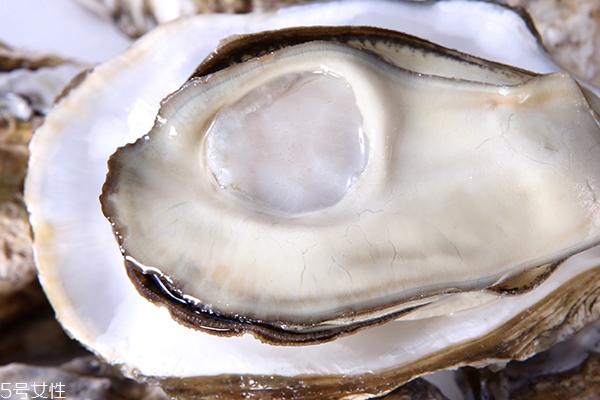 生蚝注意事项(生蚝注意事项)