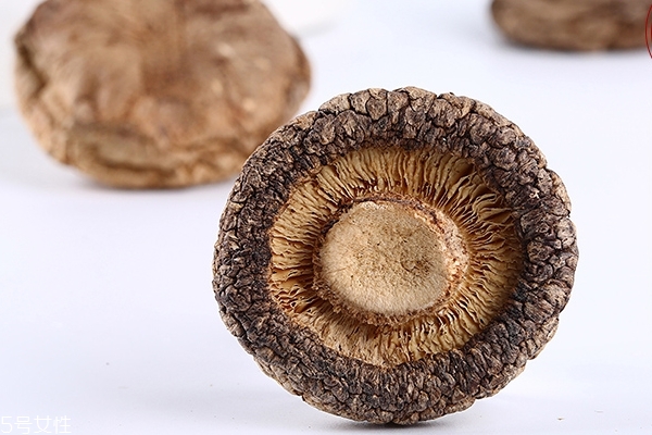 香菇怎么切丝(香菇怎么切丝图解)