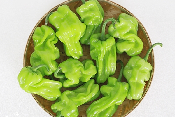 吃青椒小技巧(青椒怎么吃比较好)