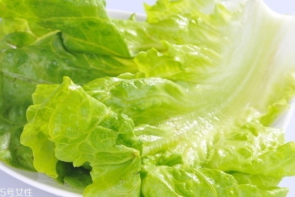 生菜小知识(生菜的知识)