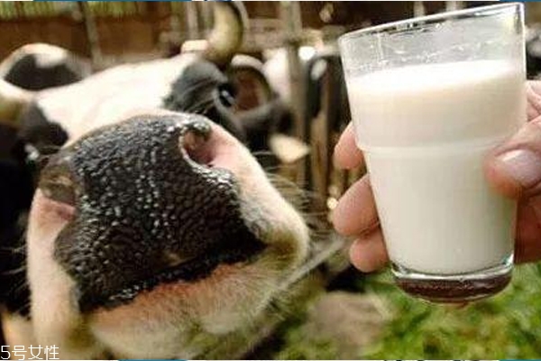 巴氏消毒奶可以加热吗(巴氏消毒奶可以加热吗)