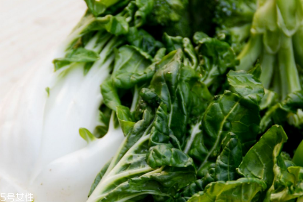 白菜的功效和作用(救心菜的功效和作用)