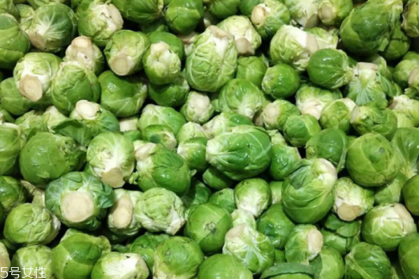 包菜的特征(包菜的特征)