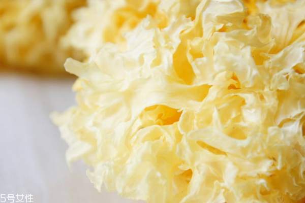 银耳和丑耳怎么区分(银耳和丑耳有什么区别)