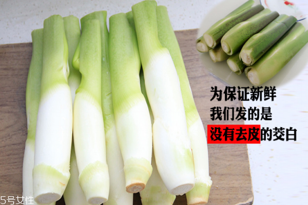 茭白能放冰箱吗(茭白能放冰箱吗?)