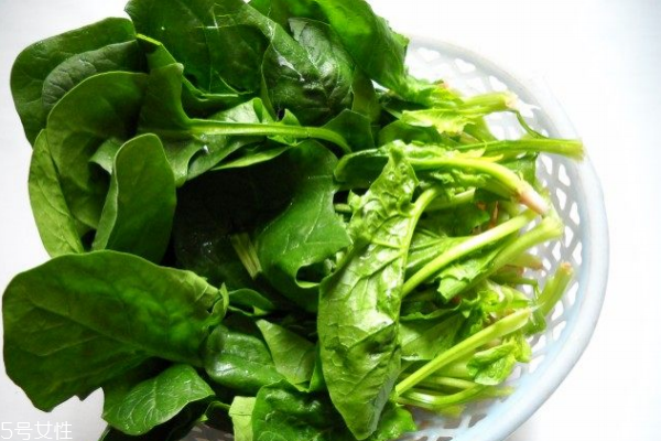 菠菜的营养功效(菠菜的营养功效和作用)