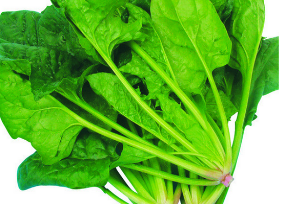 菠菜禁忌搭配(菠菜禁忌搭配) 菠菜禁忌搭配(菠菜禁忌搭配)