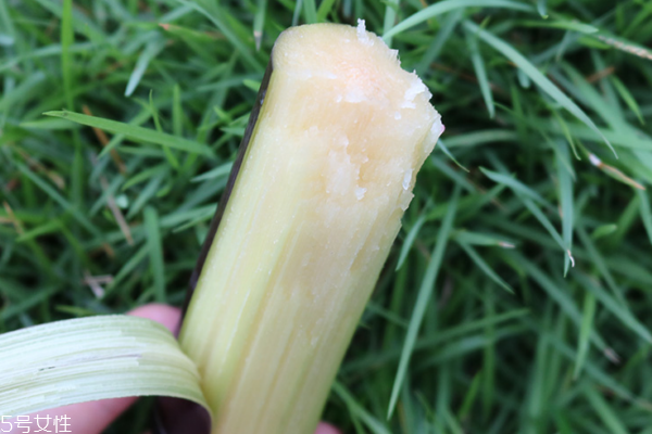 甘蔗和橙子可以一起吃吗(甘蔗和橙子可以一起吃吗) 甘蔗和橙子可以一起吃吗(甘蔗和橙子可以一起吃吗)