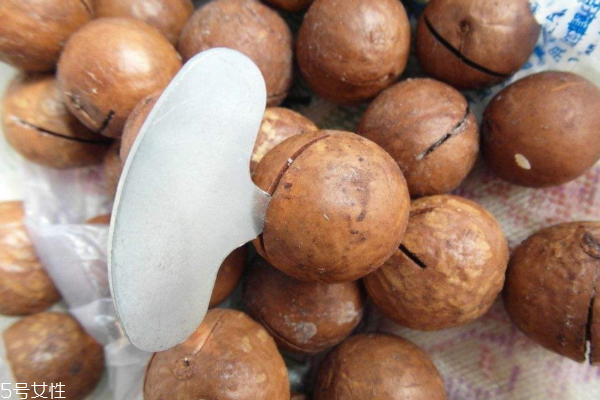 夏威夷果能煮着吃吗(夏威夷果可以吃吗)