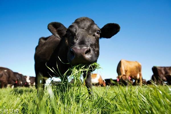 奶粉是酸性还是碱性(奶粉是酸性还是碱性食物)