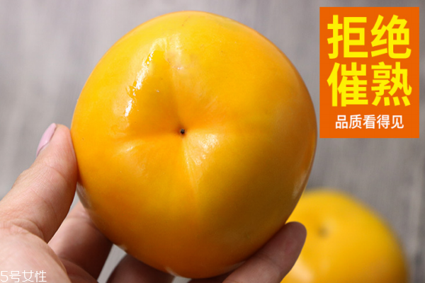 冻柿子和酸奶能一起吃吗(冻柿子和酸奶能一起吃吗)