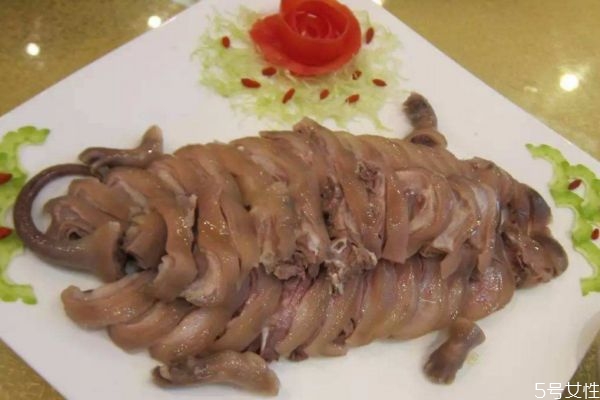 竹鼠一年生几胎(竹鼠一年生几胎?) 竹鼠一年生几胎(竹鼠一年生几胎?)