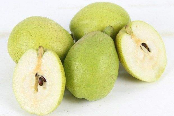 炖梨子注意事项(梨子炖水的禁忌)