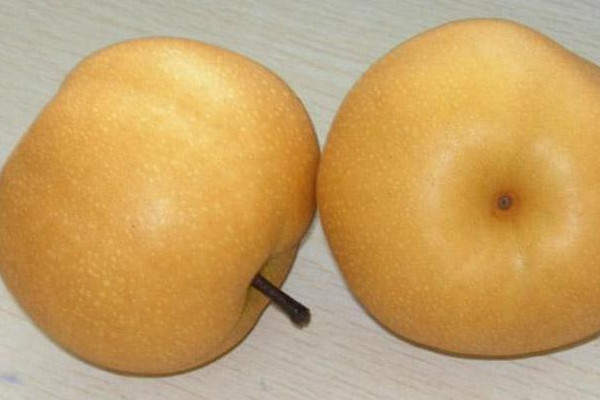 梨子的功效(梨子的功效和作用) 梨子的功效(梨子的功效和作用)