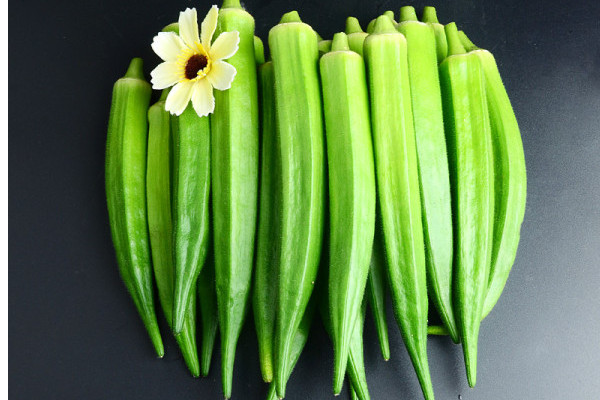 秋葵采摘注意事项(秋葵采摘注意事项)