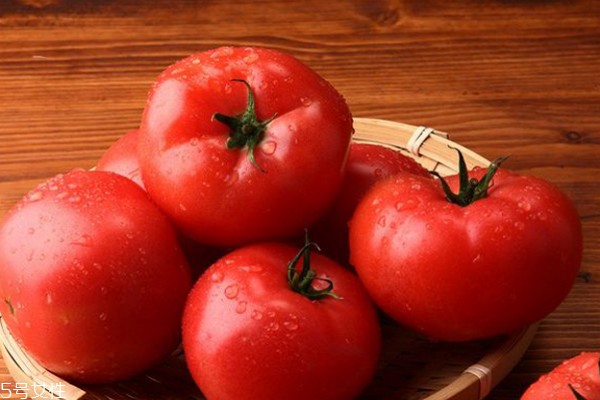 吃番茄减肥要吃多久(饭后多久吃番茄可以减肥) 吃番茄减肥要吃多久(饭后多久吃番茄可以减肥)