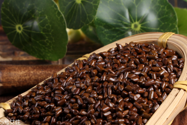 生决明子和熟决明子哪种泡水喝好(用决明子泡水喝是生的好还是熟的好)