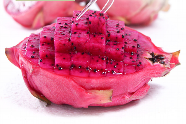 红心火龙果的生物特性(红心火龙果性质)