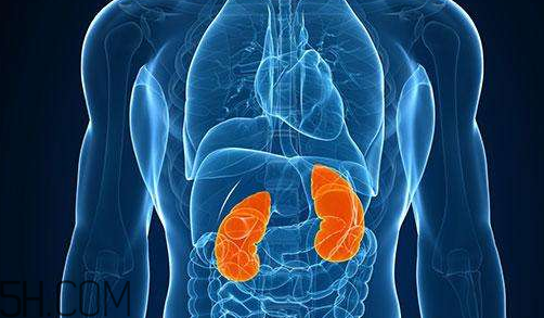 vant和爱敬气垫买哪个(vant气垫怎么样) vant和爱敬气垫买哪个(vant气垫怎么样)