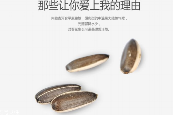 瓜子的营养分析(瓜子成分及营养价值) 瓜子的营养分析(瓜子成分及营养价值)