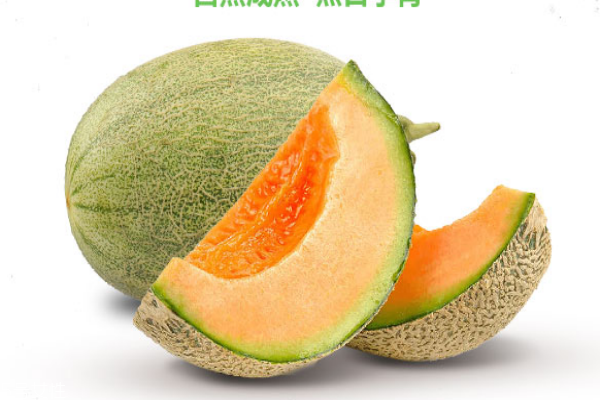 哈密瓜为什么是苦的(哈密瓜为什么是苦的?)