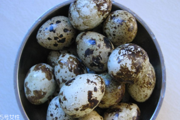 鹌鹑蛋应该怎样吃(鹌鹑蛋应该怎样吃)