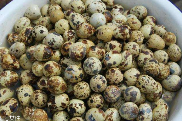 宝宝吃鹌鹑蛋好还是鸡蛋好(两岁宝宝吃鹌鹑蛋好还是鸡蛋好)