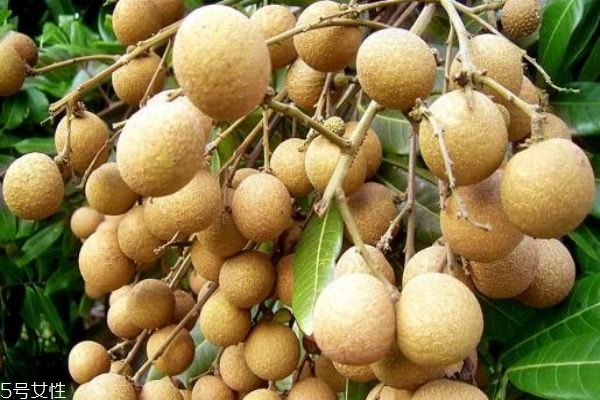 番茄炒饭的技巧(番茄炒饭怎么做好吃窍门) 番茄炒饭的技巧(番茄炒饭怎么做好吃窍门)