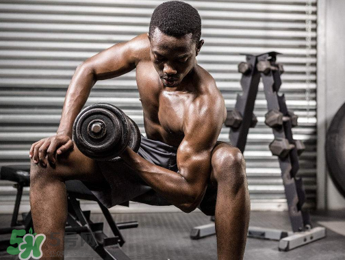 肌酸服用注意事项(肌酸服用注意事项)