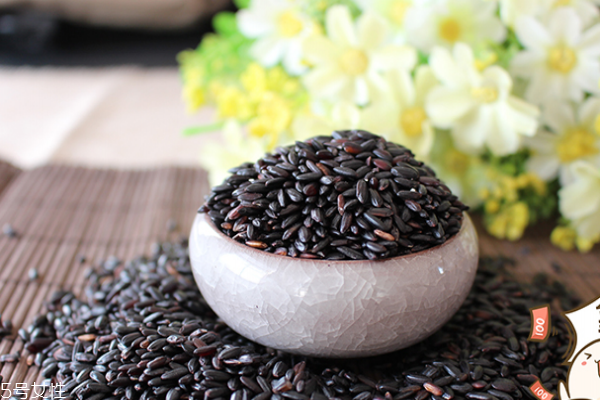 黑米鉴别方法(如何区别真假黑米鉴别方法) 黑米鉴别方法(如何区别真假黑米鉴别方法)