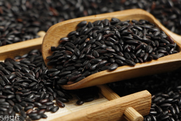 黑米怎么鉴别(黑米怎么鉴别真假) 黑米怎么鉴别(黑米怎么鉴别真假)