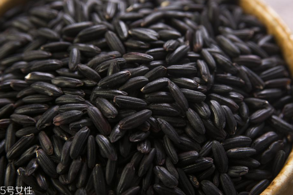 黑米适合哪些人吃(黑米适合哪些人吃)