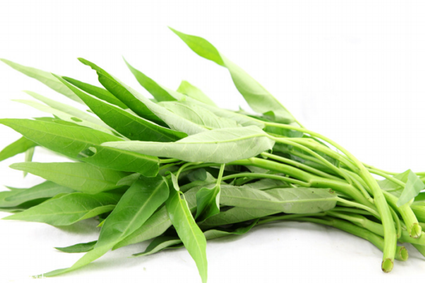 空心菜怎么分辨老和嫩(如何区分菜心老和嫩)