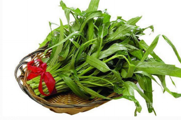 空心菜防变黑的方法(空心菜为什么会变黑)