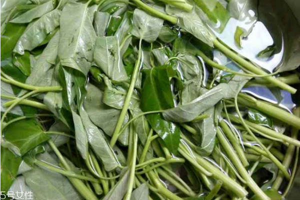 遮瑕膏使用不当会堵塞毛孔(遮瑕膏会不会堵塞毛孔)