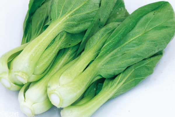 孕妇能吃小白菜吗(孕妇能吃小白菜吗 初期)