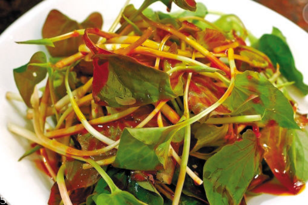 鱼腥草的功效和作用(鱼腥草的功效和作用和主治)