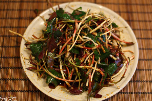 鱼腥草的注意事项(鱼腥草的注意事项)