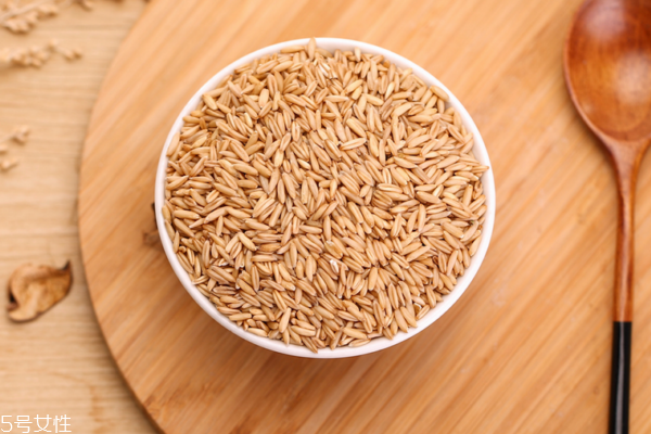 生燕麦的价格是多少(生燕麦多少钱一斤批发)