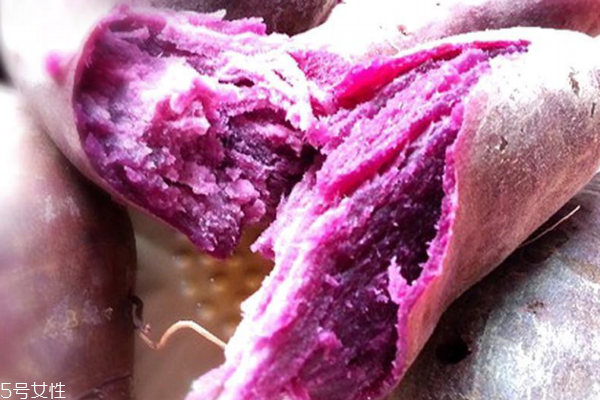 紫薯的营养价值(紫薯的营养价值及功效和作用) 紫薯的营养价值(紫薯的营养价值及功效和作用)