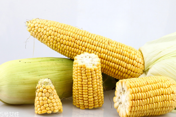 米怎么煮又黏又好吃(冻玉米怎么煮又黏又好吃)