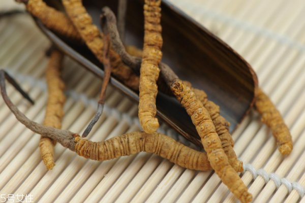 在吃冬虫夏草时候的一些误区(什么情况下不能吃冬虫夏草) 在吃冬虫夏草时候的一些误区(什么情况下不能吃冬虫夏草)