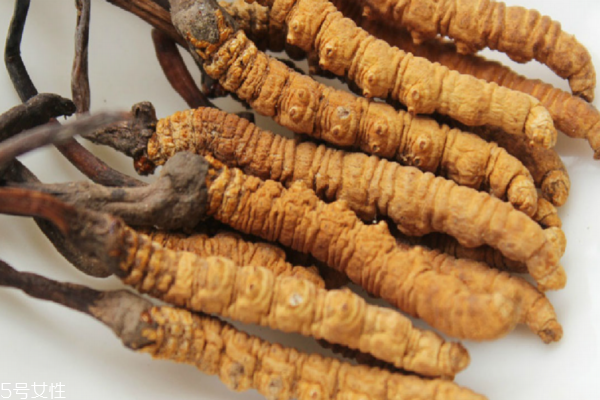 冬天吃冬虫夏草最好(冬季吃冬虫夏草)