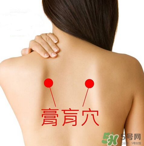 三伏灸穴位(三伏灸的位置图片)