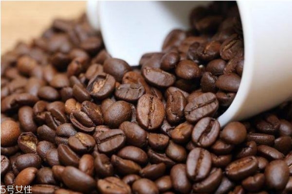 宝格丽大吉岭茶极致版(宝格丽大吉岭茶极致版和原版区别)