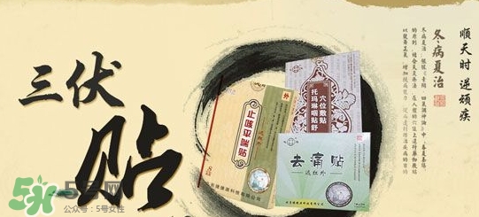 三伏贴相关问题(三伏贴的八个注意事项)