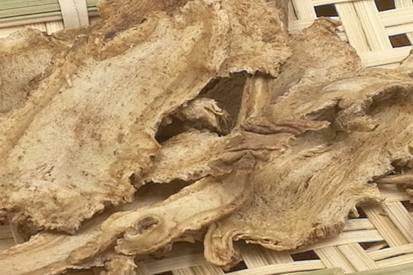 东当归怎么样(东当归和当归的区别)