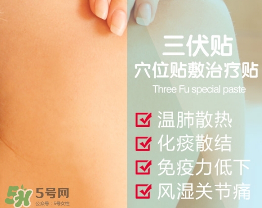 三伏贴并非适合任何病因引起的哮喘(三伏贴能治哮喘吗)