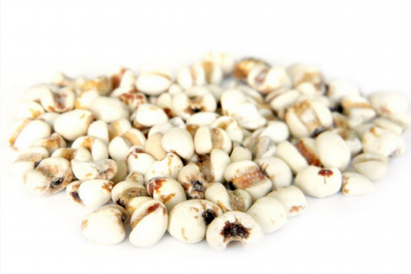 薏仁小知识(薏仁有什么用) 薏仁小知识(薏仁有什么用)